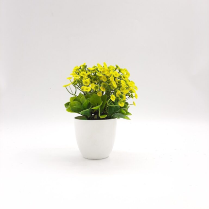 Bonsai Table Top Flower