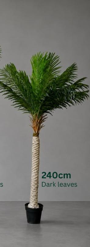 240cm Artificial palm tree