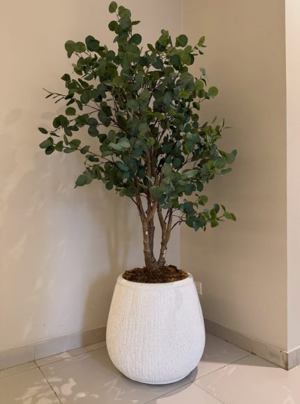 Granite White Rough Big Merlot Planter with Artificial Forest Eucalyptus Tree | 200cm