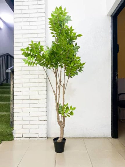 Artificial Fern Plant