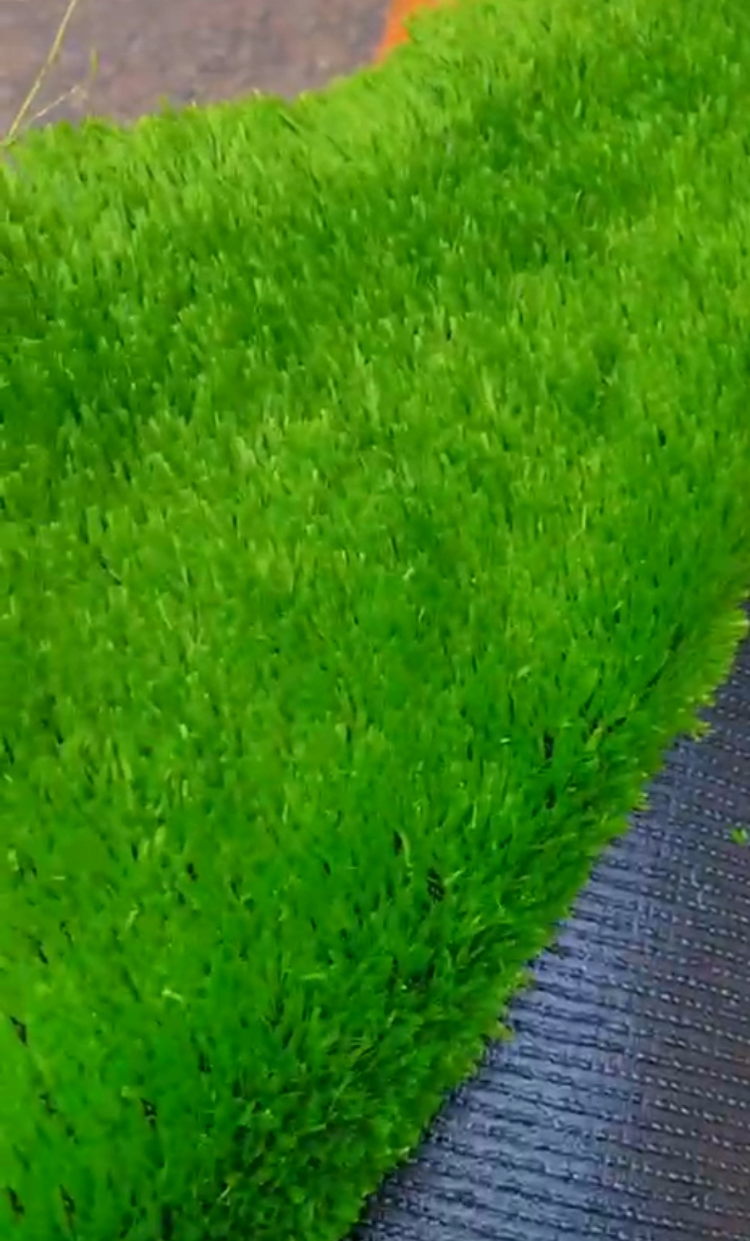 Artificial Grass